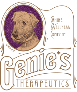 Genie's Concierge Logo
